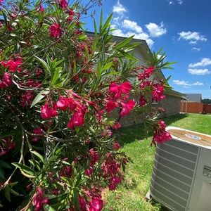 Meet your Posher, Nisia